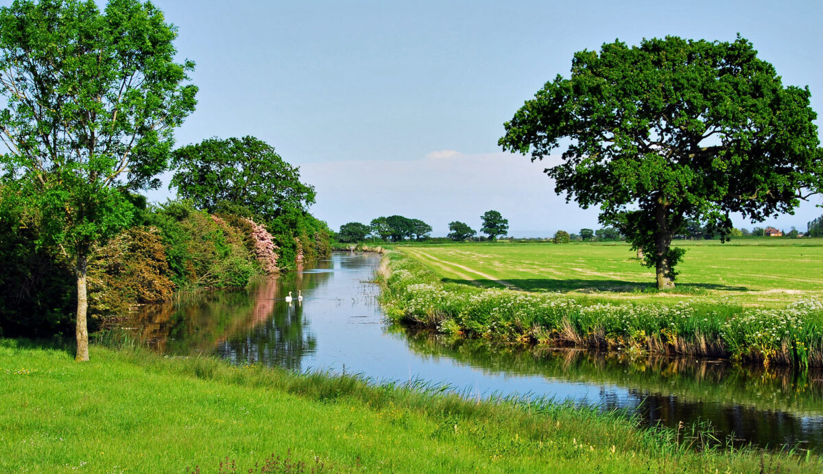 Royal military canal West Sussex Countryside